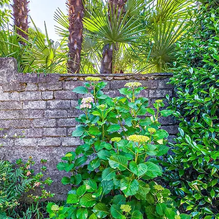 Casa Tranquilla Tatil Evi Cannobio