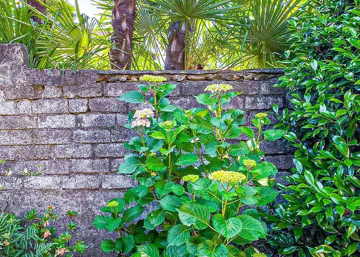 Casa Tranquilla Casa vacanze Cannobio